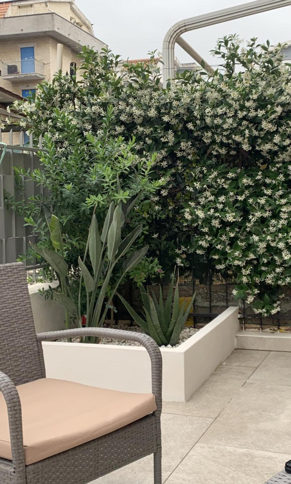 Gilda'S Home سكاليا المظهر الخارجي الصورة