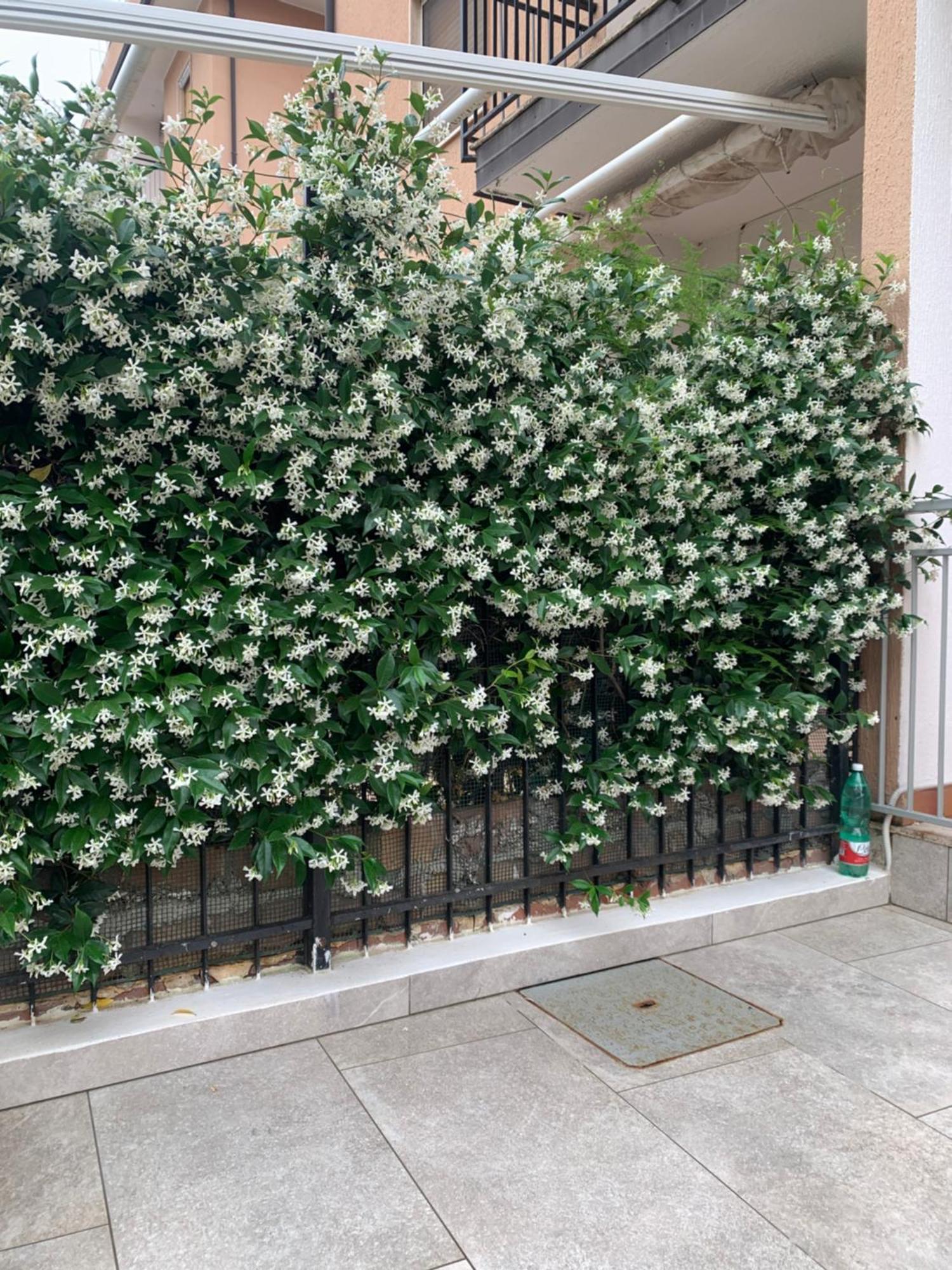 Gilda'S Home سكاليا المظهر الخارجي الصورة