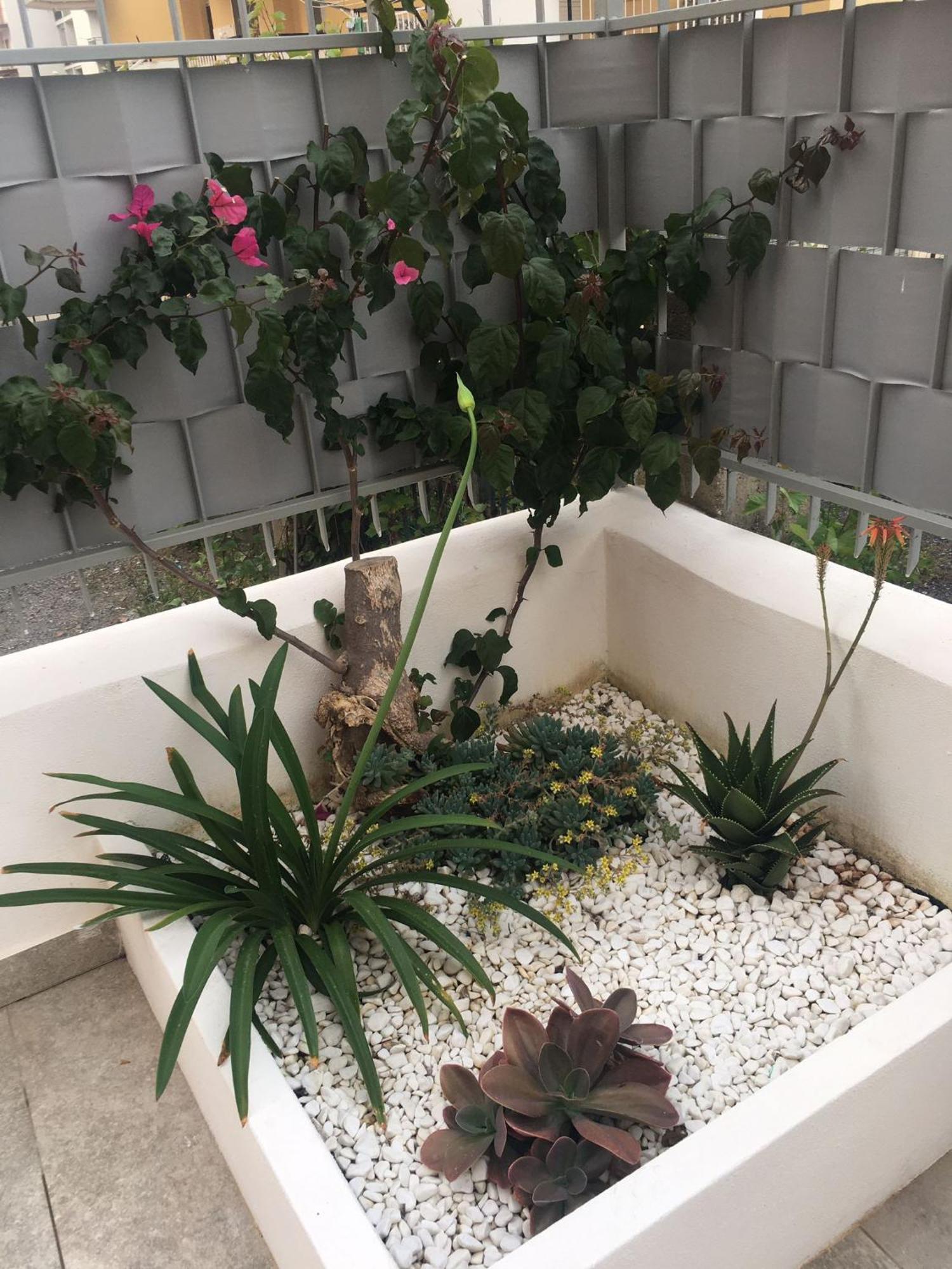 Gilda'S Home سكاليا المظهر الخارجي الصورة